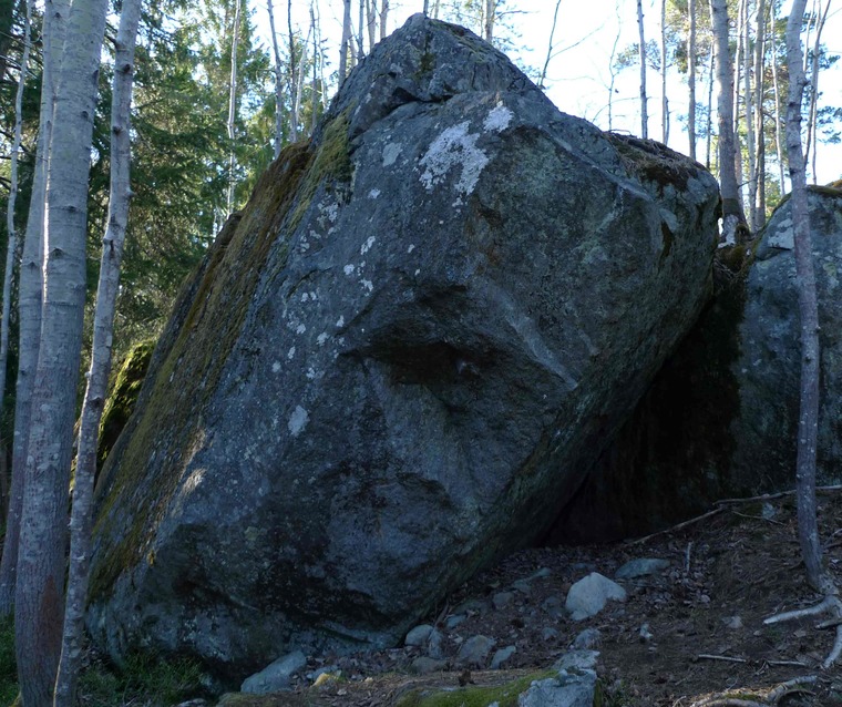 Hundklubben - 17 grader