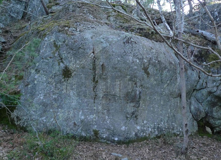 Hundklubben - Sekreteriatet