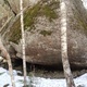 T-Rex to the middle thumbnail