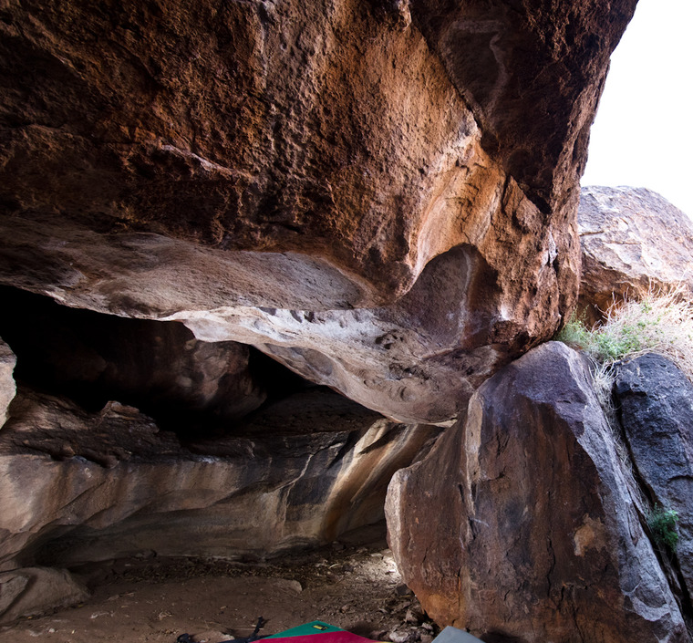 Rumble In the Jungle