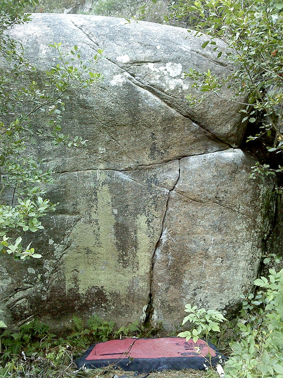 Feriesyssel/Sideshow Bob!