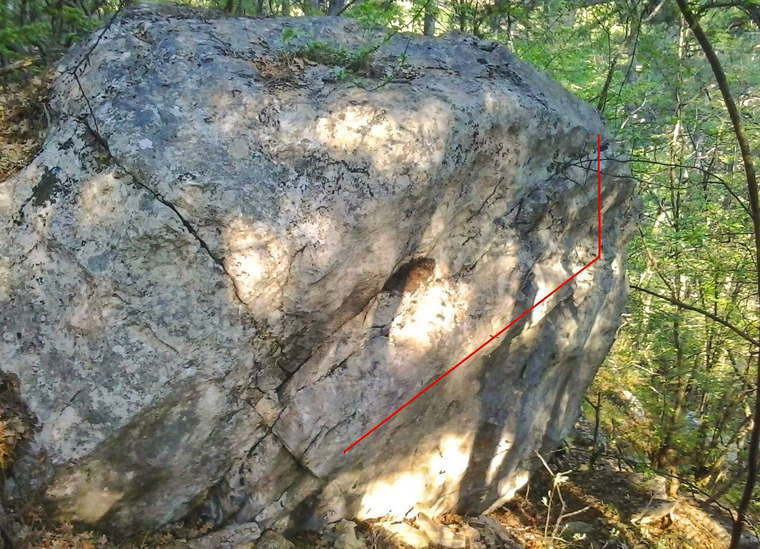 Крошка енот