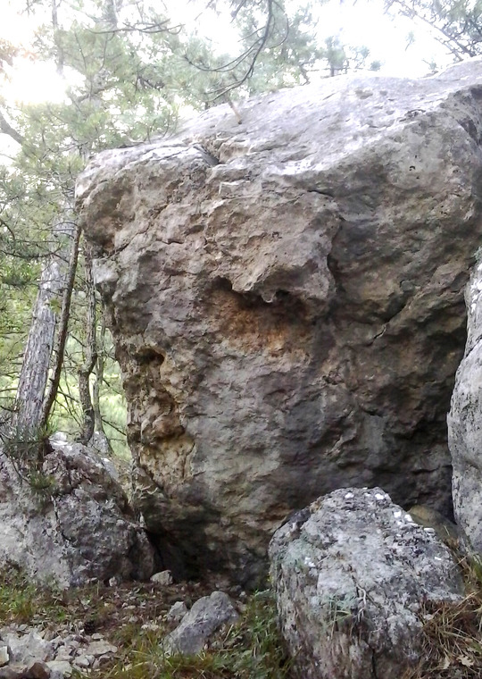 Невидимка, Рица, Мешочек-Покатун