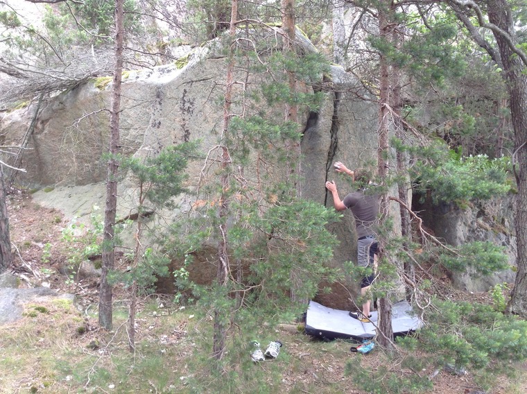 Midsommardröm - söder om ön mot vattnet