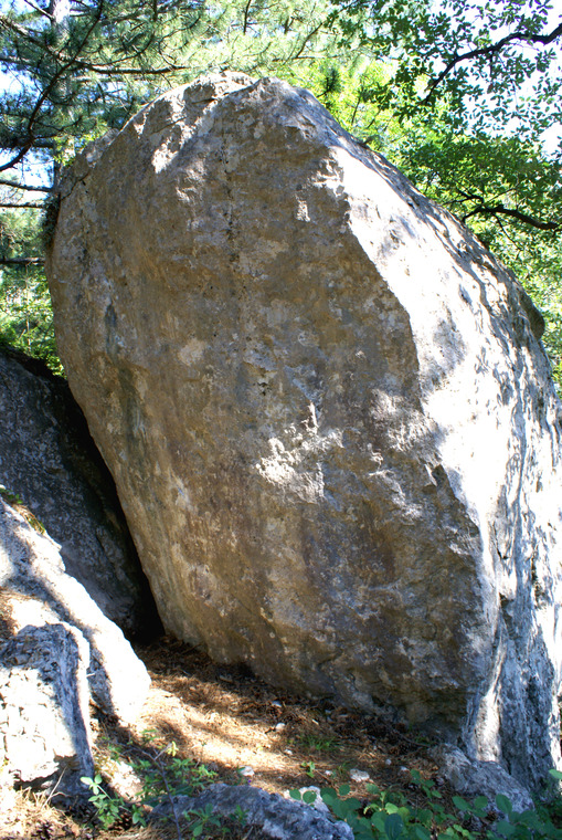 Хвоя, На горшке, Рваная спина