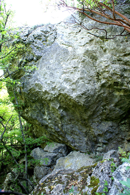 Бестыдница