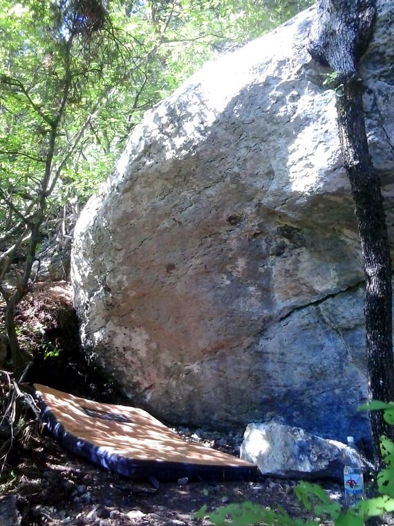 Дохват, Муравьиный Заговор