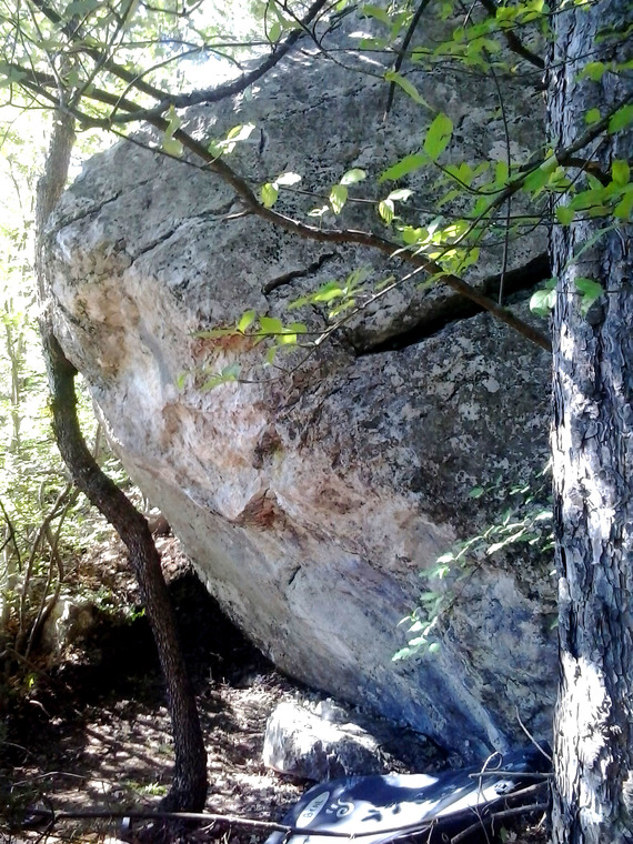Дохват, Муравьиный Заговор