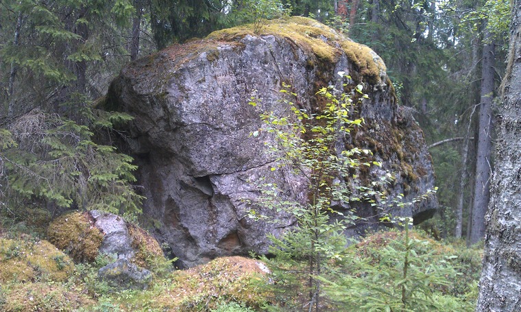 Bruce Lee / Van Damme / Duplo