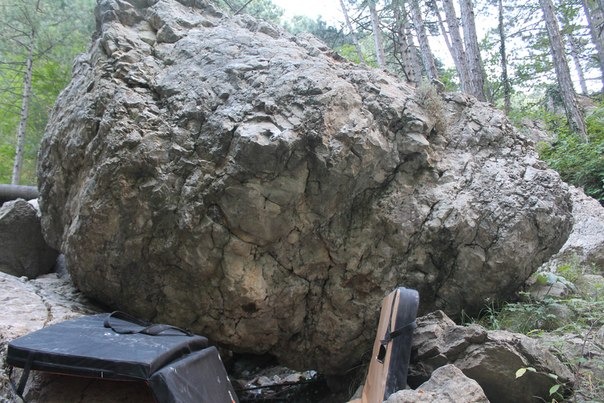 Долбодятел