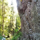 Johanna Päivärinne