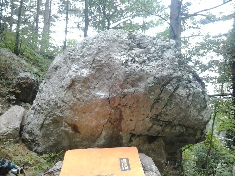 Ошибка Природы