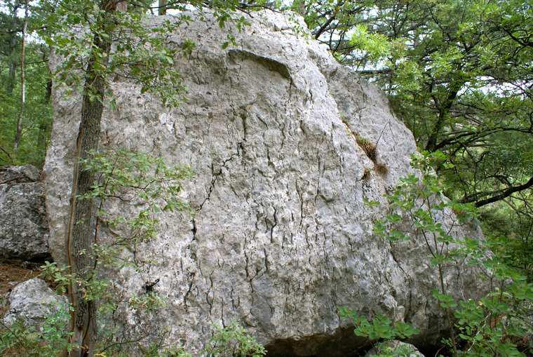 Хвоя, На горшке, Рваная спина