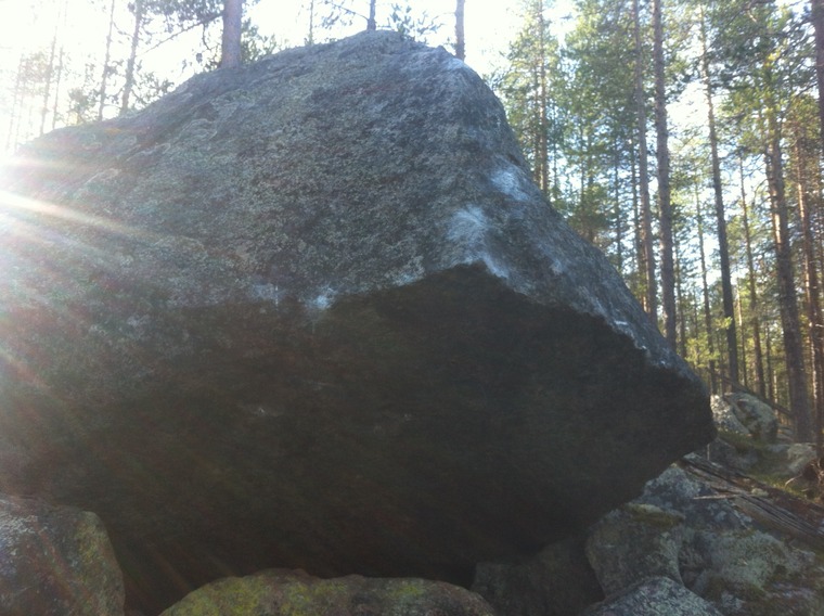 The butterfly effect