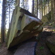 Olga thumbnail