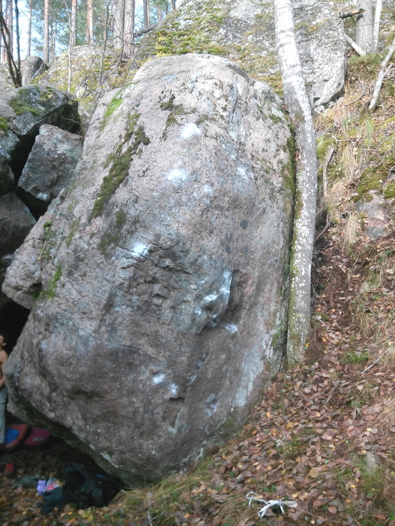 Зимовье зверей