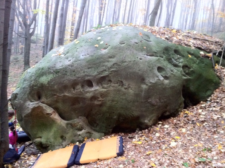 Белладонна