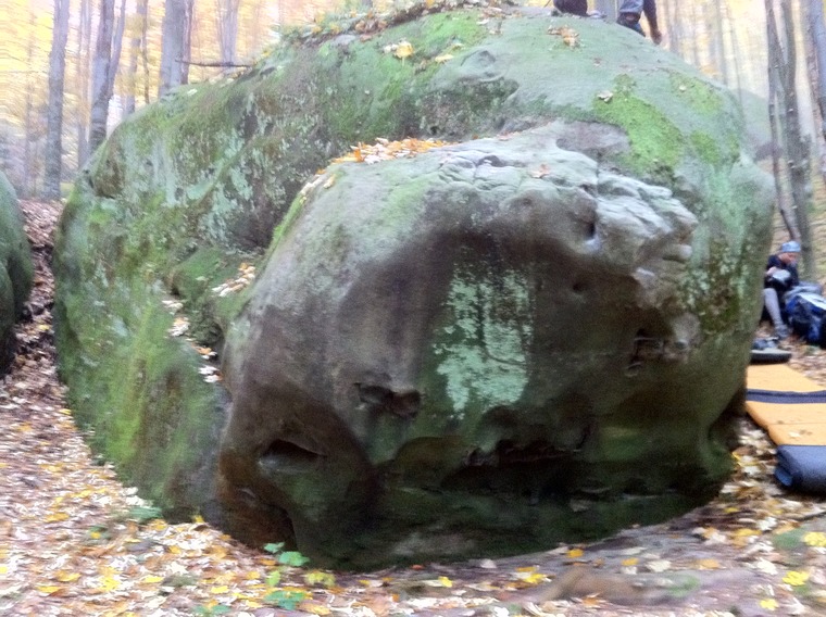 Белладонна