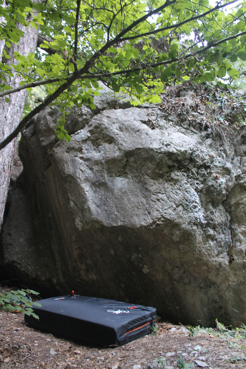 Гольфстрим