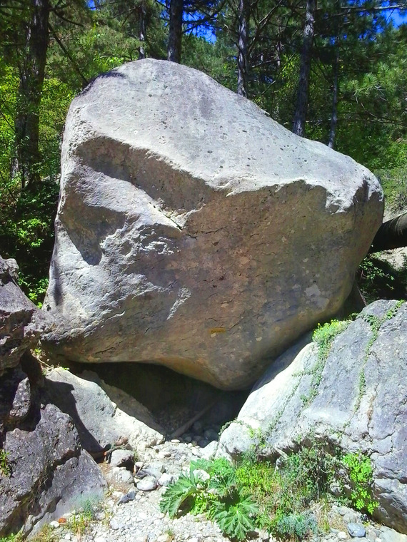 Белая Зависть