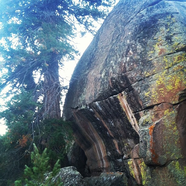 Best of the southwest