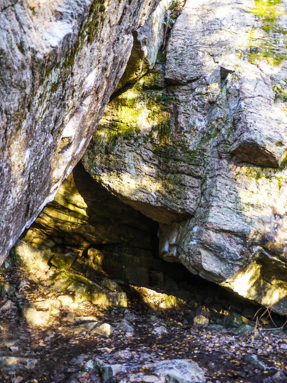 Зимовье зверей