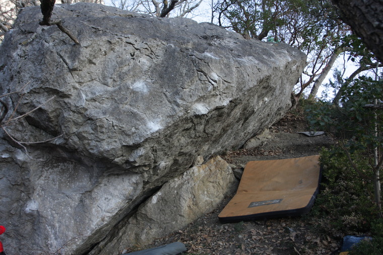 Ослик суслик паукан