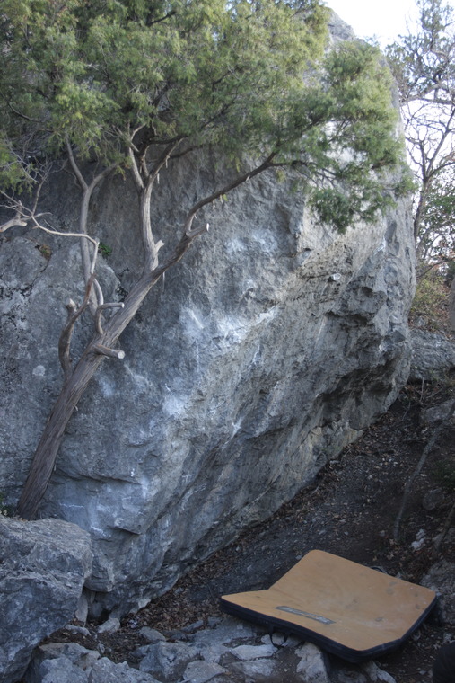 Ослик суслик паукан