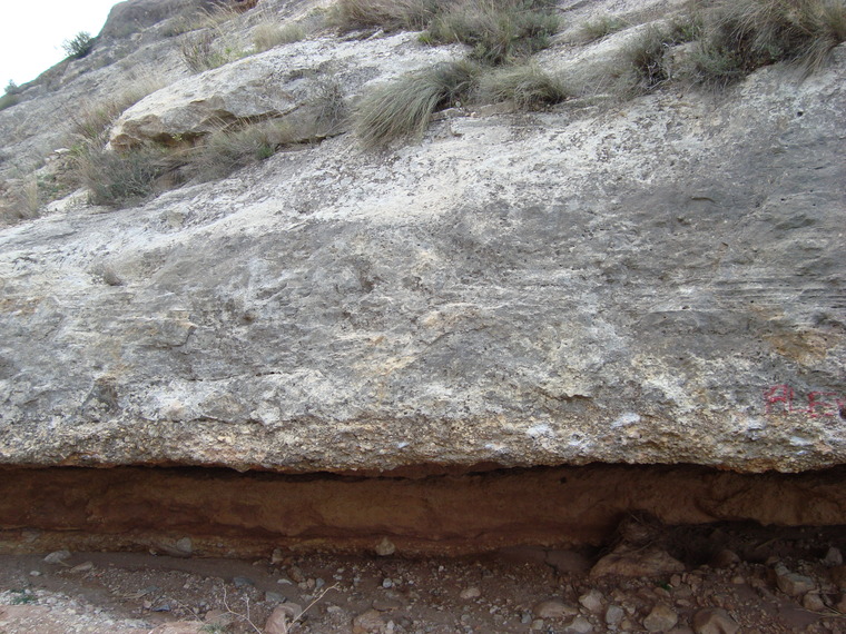 La Rambla - Cova de la Gota
