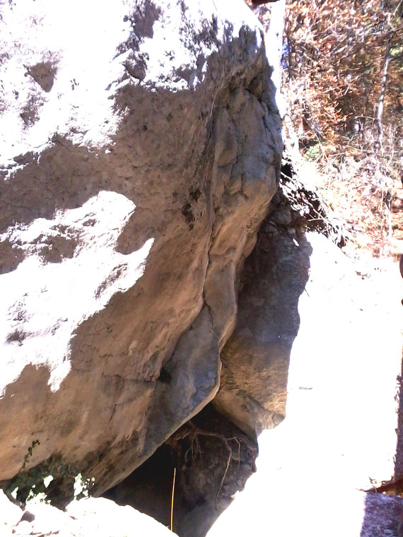 Белая Зависть