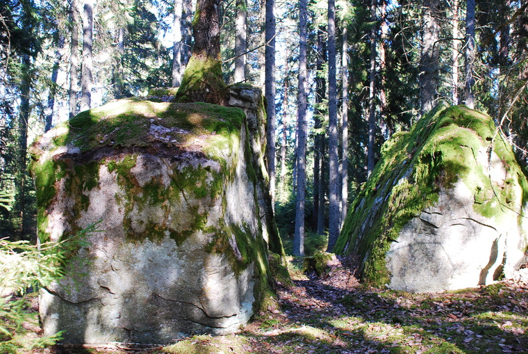 Two and a half stone