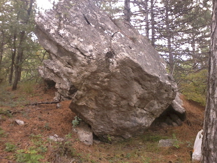 101 Долматинец