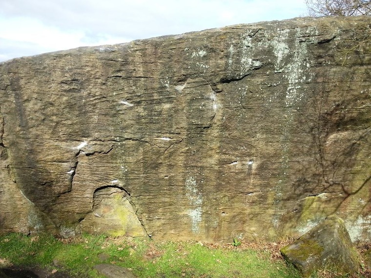 Suckers Wall