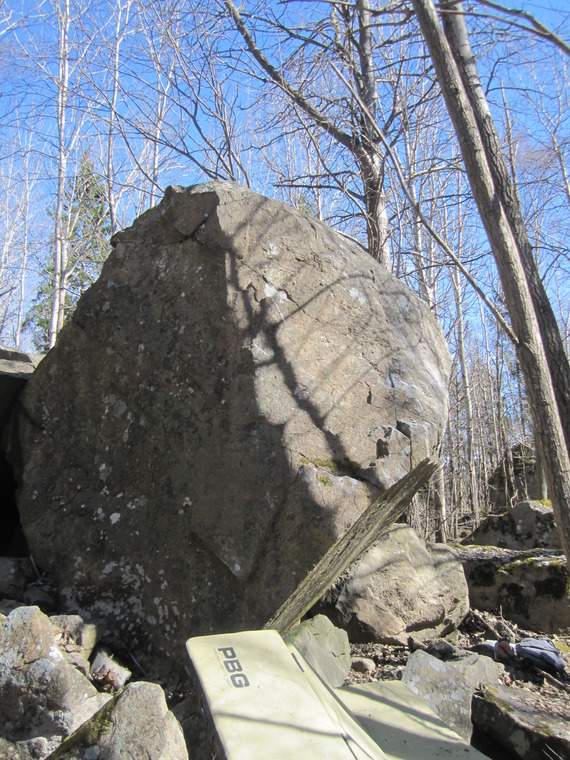 Släpp klättrarna loss, det är vår!