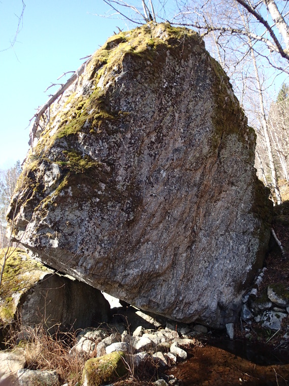 Prosjektsteinen