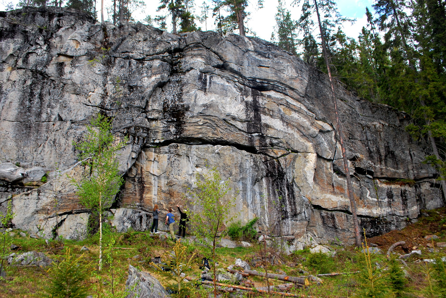 Yetuk va kuchli fotosuratlar