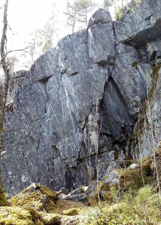 Ingen utväg-sektorn