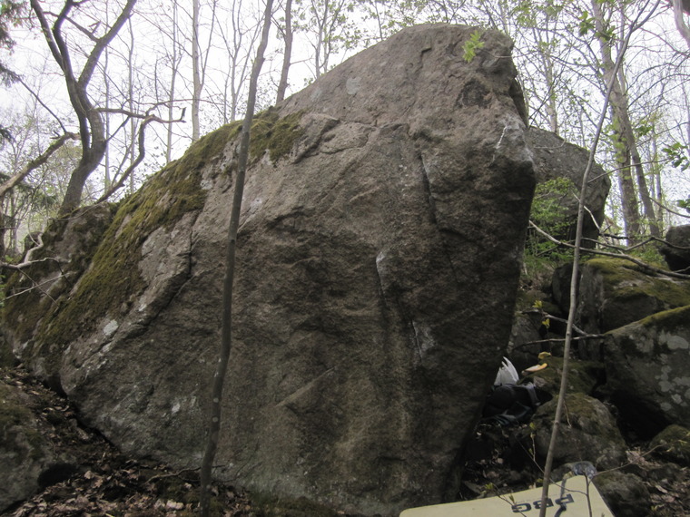 Confessions of a Carboholic