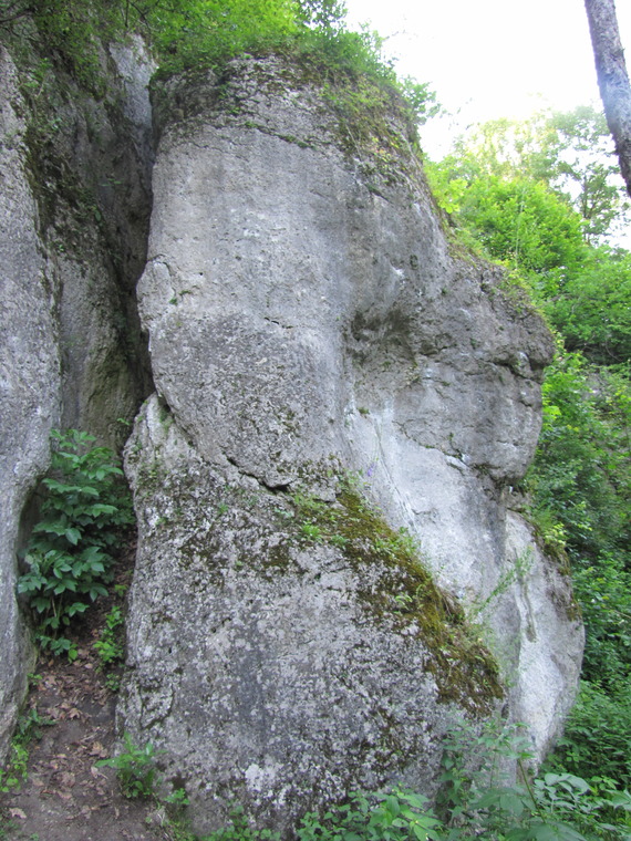 Żmijowa i Brzuszna Skała