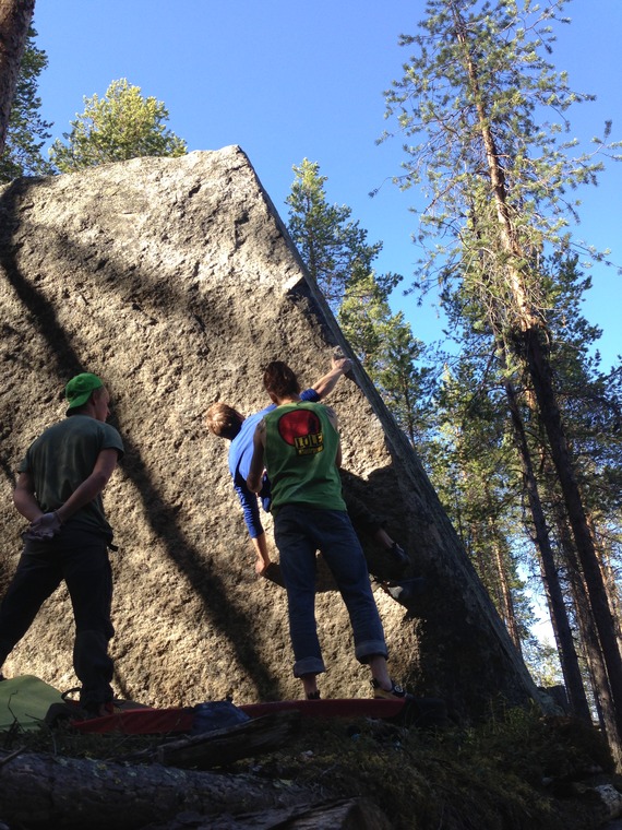 Dödsareten uppe i skogen