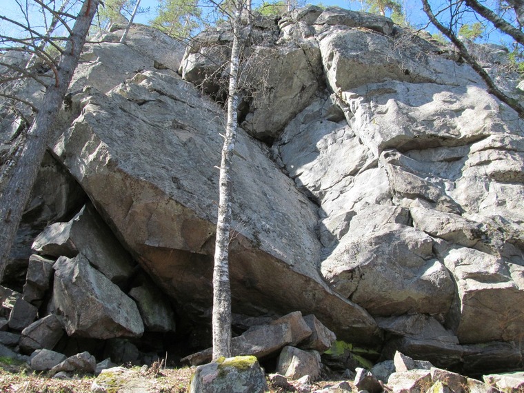 сектор Парус