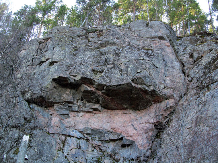 сектор Опера