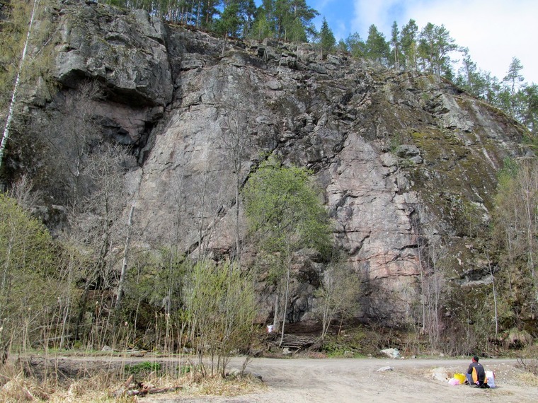 сектор Полтинник