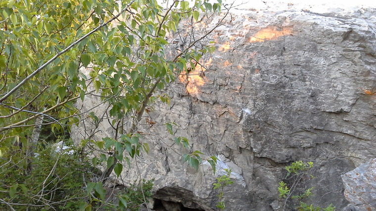 Sofa King & The Curse