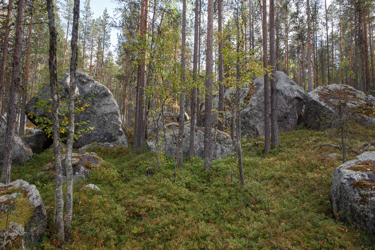Hög konsentration nya block