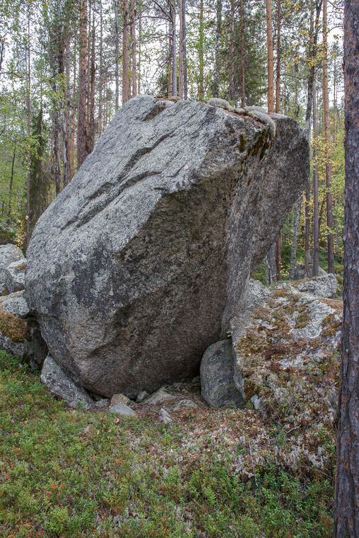 Hög konsentration nya block