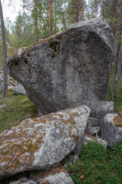 Hög konsentration nya block