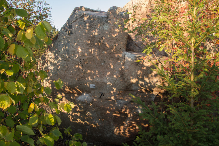 Block 2-4 - Meatloaf