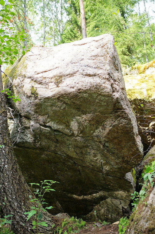 Зимовье зверей