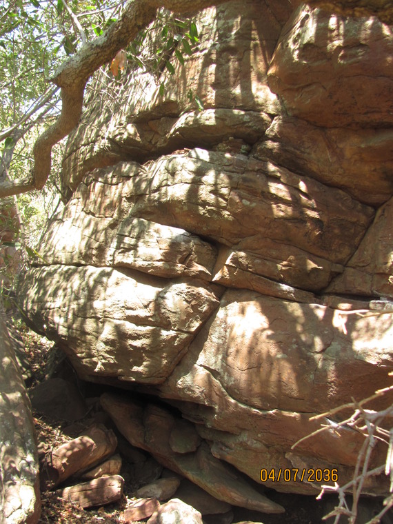 Tree of Life Boulder